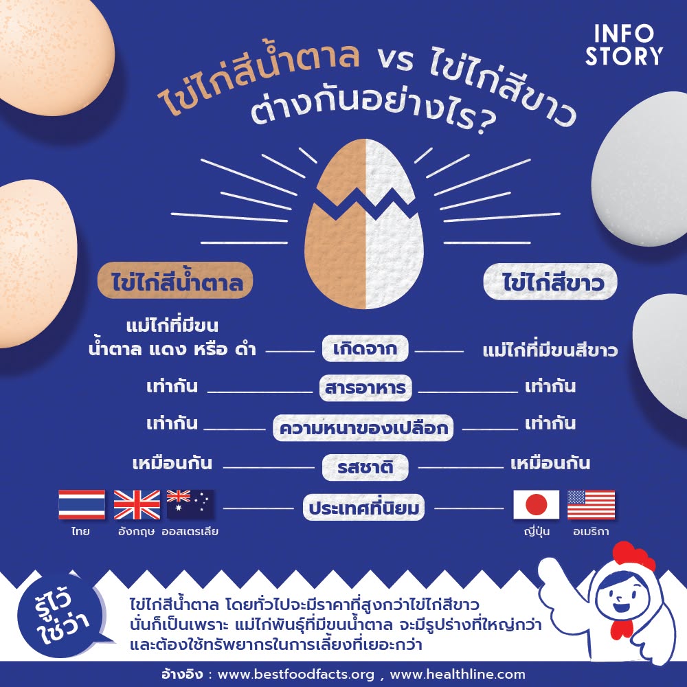 ไข่ไก่สีน้ำตาล vs ไข่ไก่สีขาว ต่างกันอย่างไร ?