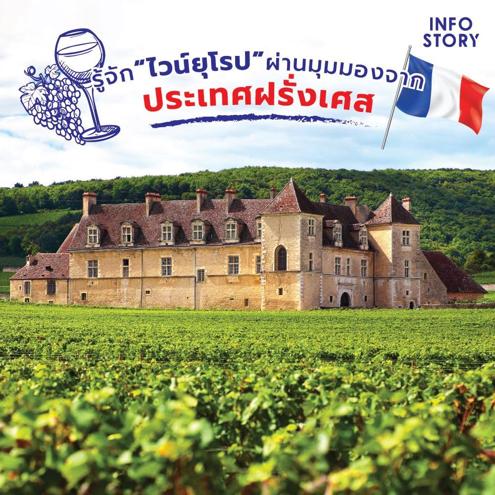 [Wine Series] - รู้จัก “ไวน์ยุโรป” ผ่านมุมมองจาก ประเทศฝรั่งเศส | เพจ InfoStory