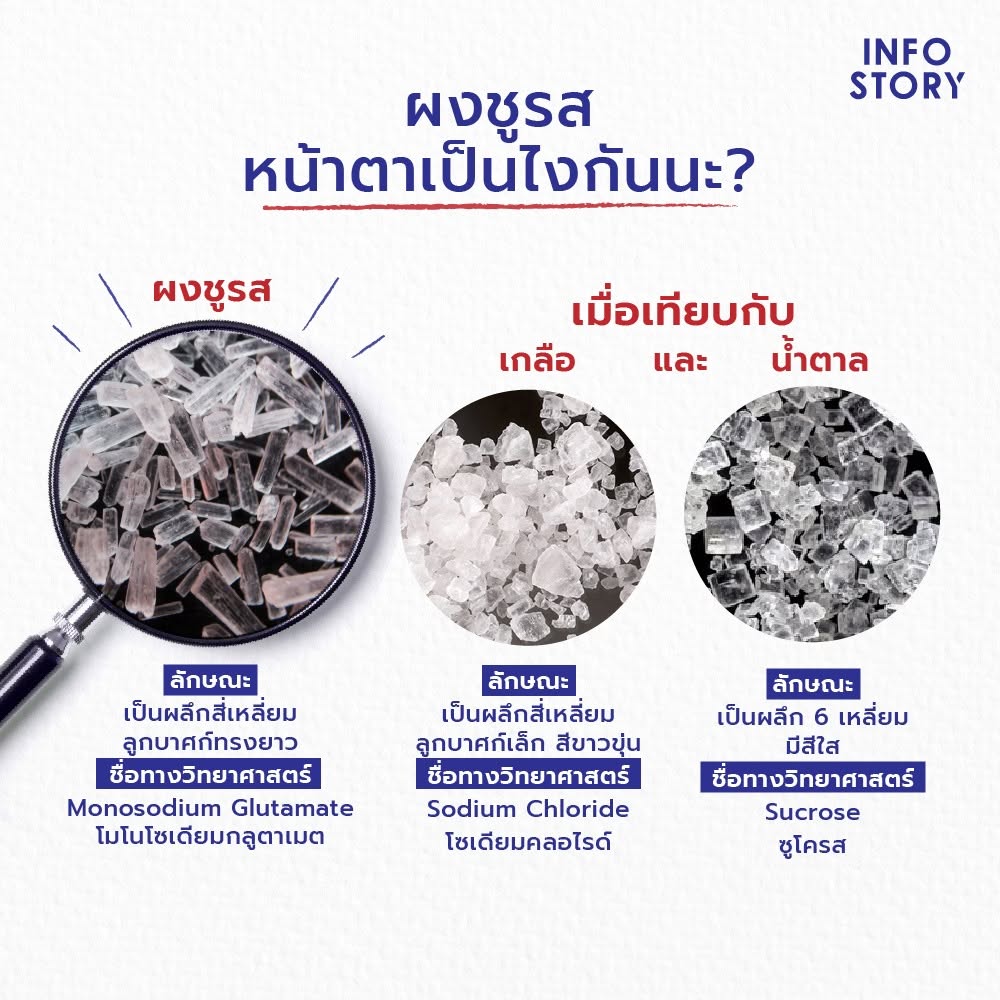ไขข้อสงสัยเกี่ยวกับ “ผงชูรส”
