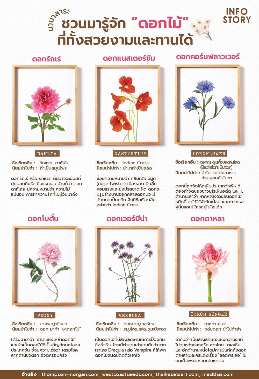 ชวนมารู้จักดอกไม้ที่ทั้งสวยและทานได้ มีอะไรบ้างนะ ?