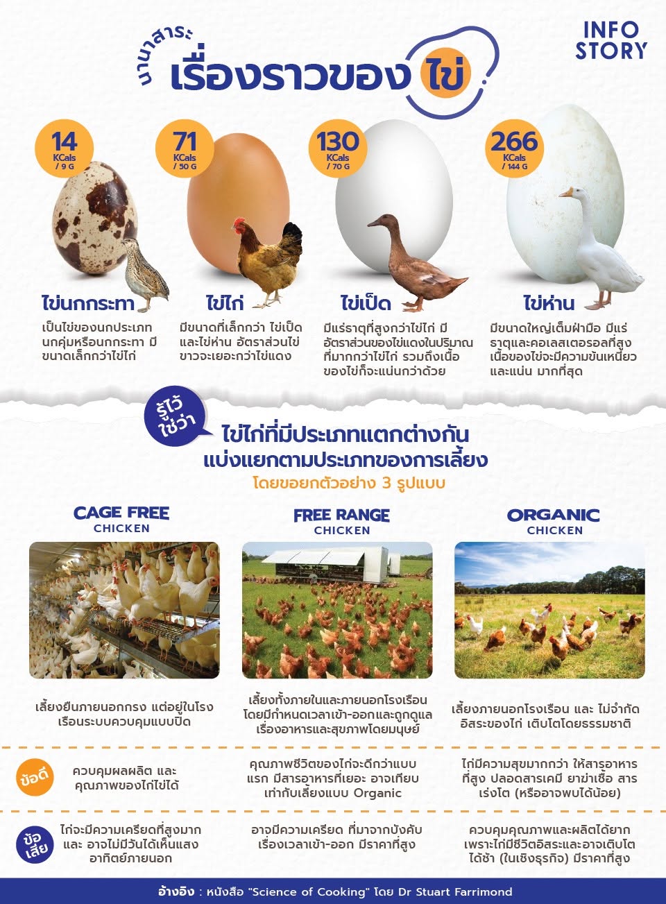 เรื่องราวของ "ไข่"