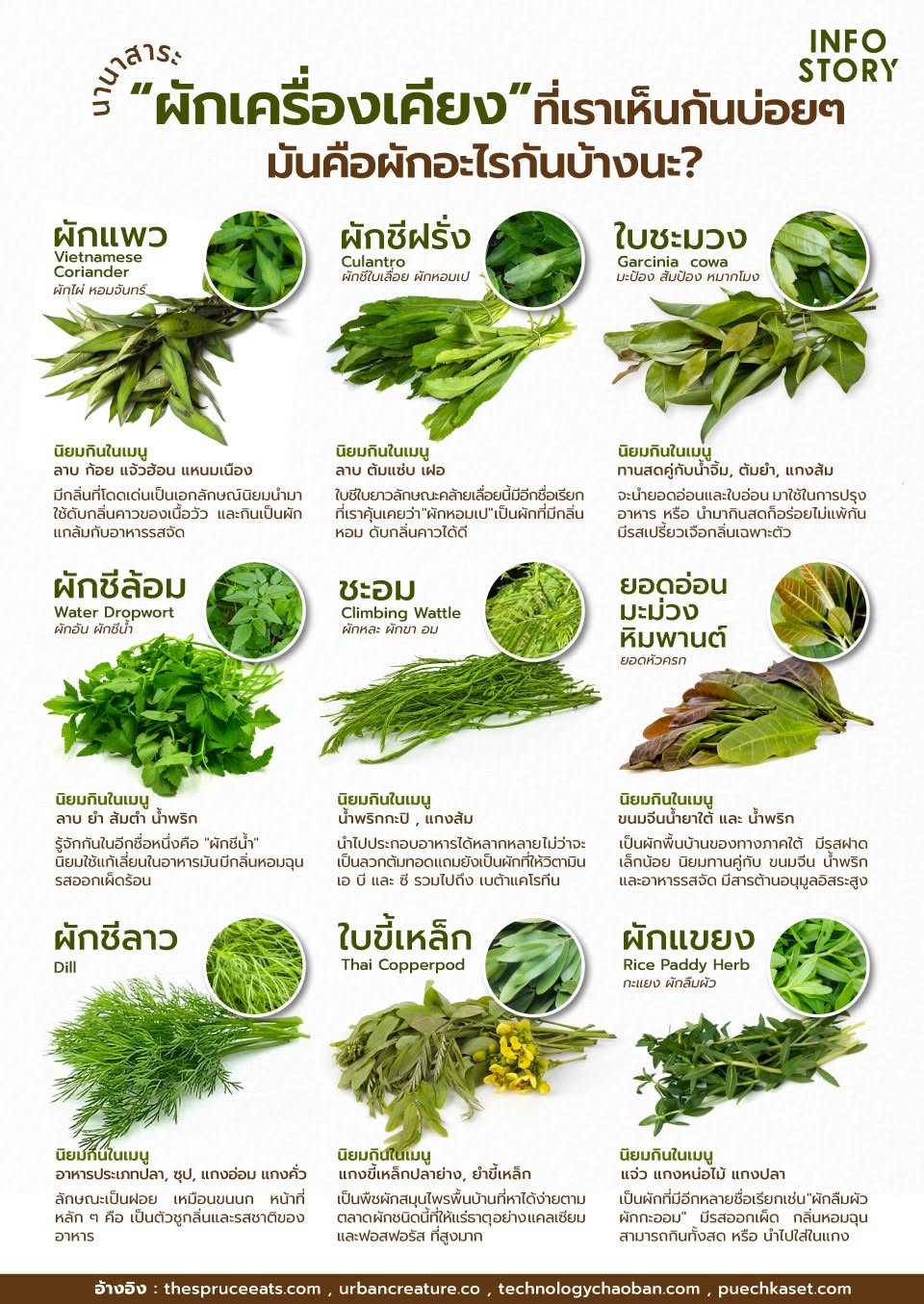 "ผักเครื่องเคียง" ที่เราเห็นกันบ่อย ๆ มันคือผักอะไรกันบ้างนะ ?