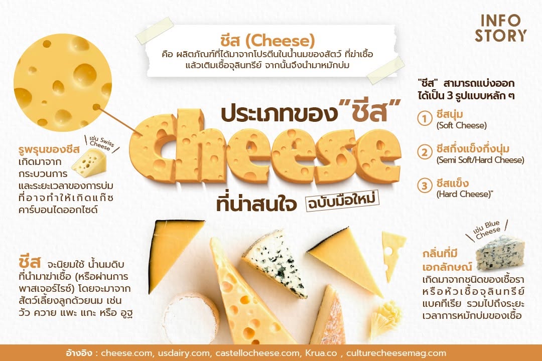 มารู้จัก ประเภทของ "ชีส (Cheese)" ที่น่าสนใจ ฉบับมือใหม่ กันเถอะ !