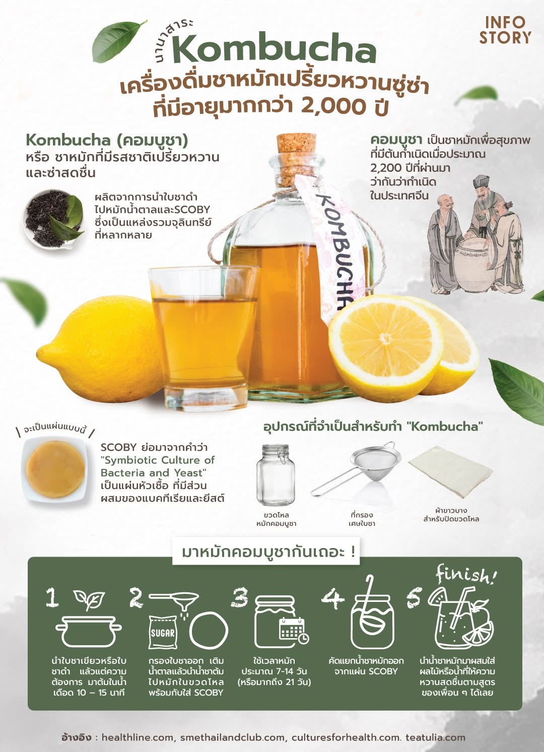 ชวนรู้จัก "Kombucha" ชาหมักรสเปรี้ยวอมหวาน ที่มีอายุมากกว่า 2,000 ปี