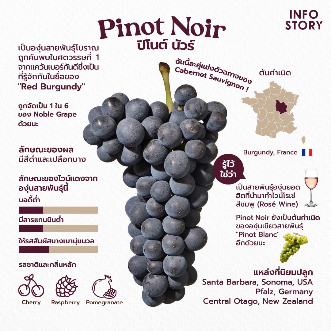 Pinot Noir (ปิโนต์ นัวร์)