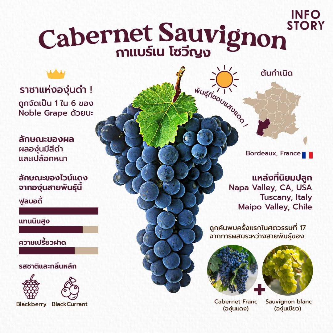 Cabernet Sauvignon (กาแบร์เน โซวีญง)