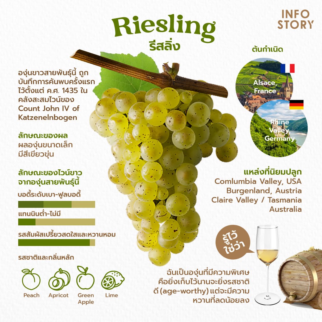 Riesling (รีสลิง)