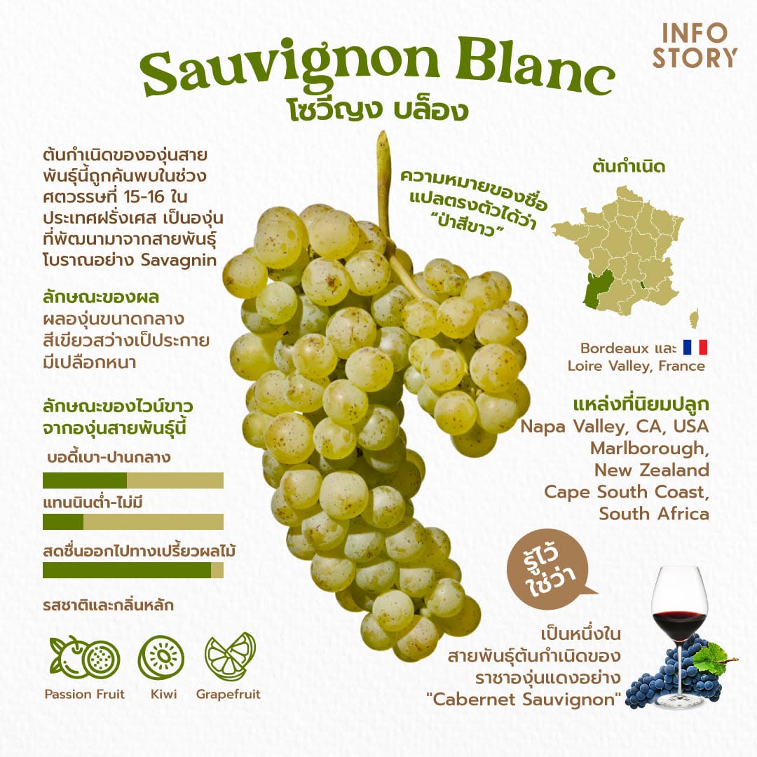 Sauvignon Blanc (โซวีญง บล็อง)