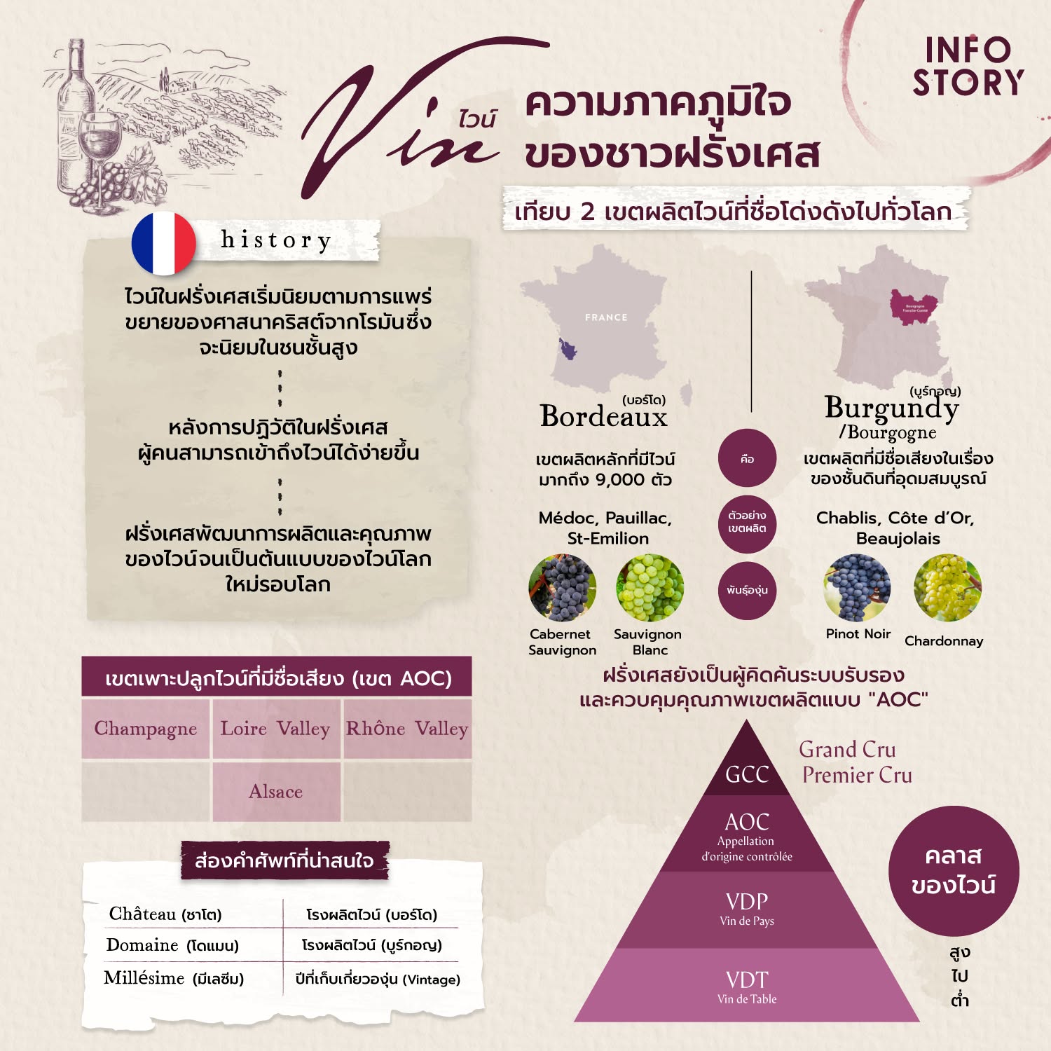 ไวน์ยุโรป — [ "ไวน์ (Vin)" ความภาคภูมิใจของชาวฝรั่งเศส 🍷🇫🇷 ]