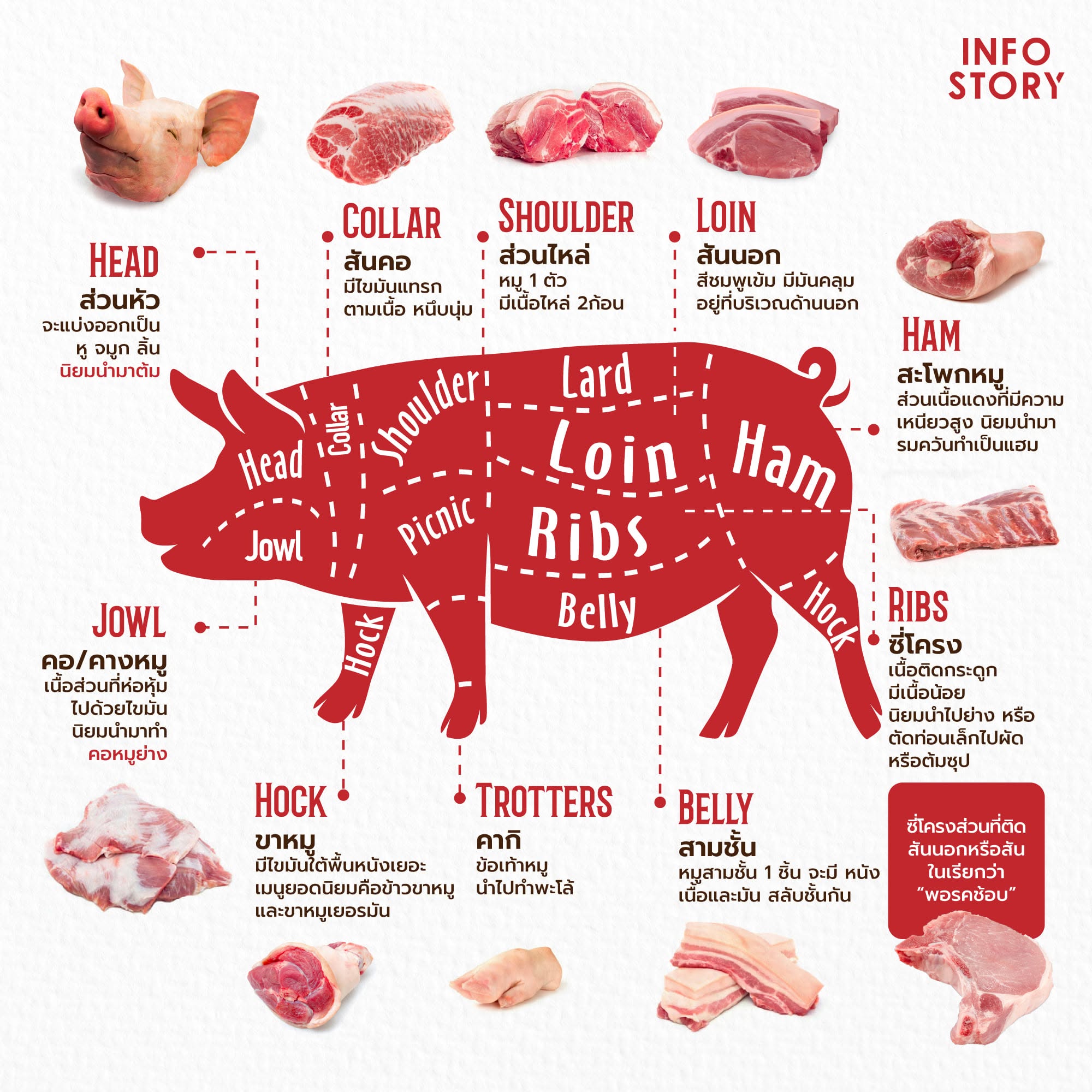 🐷 "เนื้อหมู" คุ้นเคยทุกชื่อ ว่าแต่มันอยู่ตรงไหนบ้างละ ?