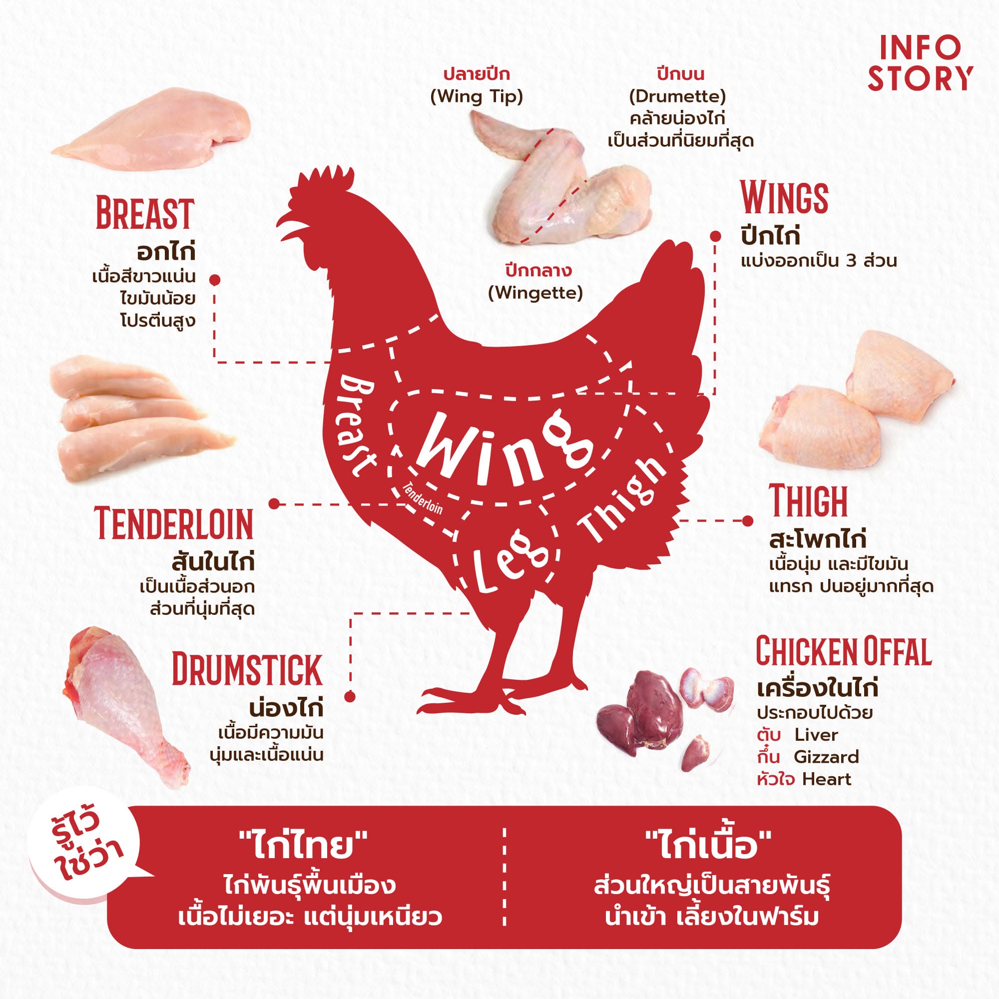 🐓🍗 "เนื้อไก่" คุ้นเคยกับทุกชื่อในทุกสัดส่วน