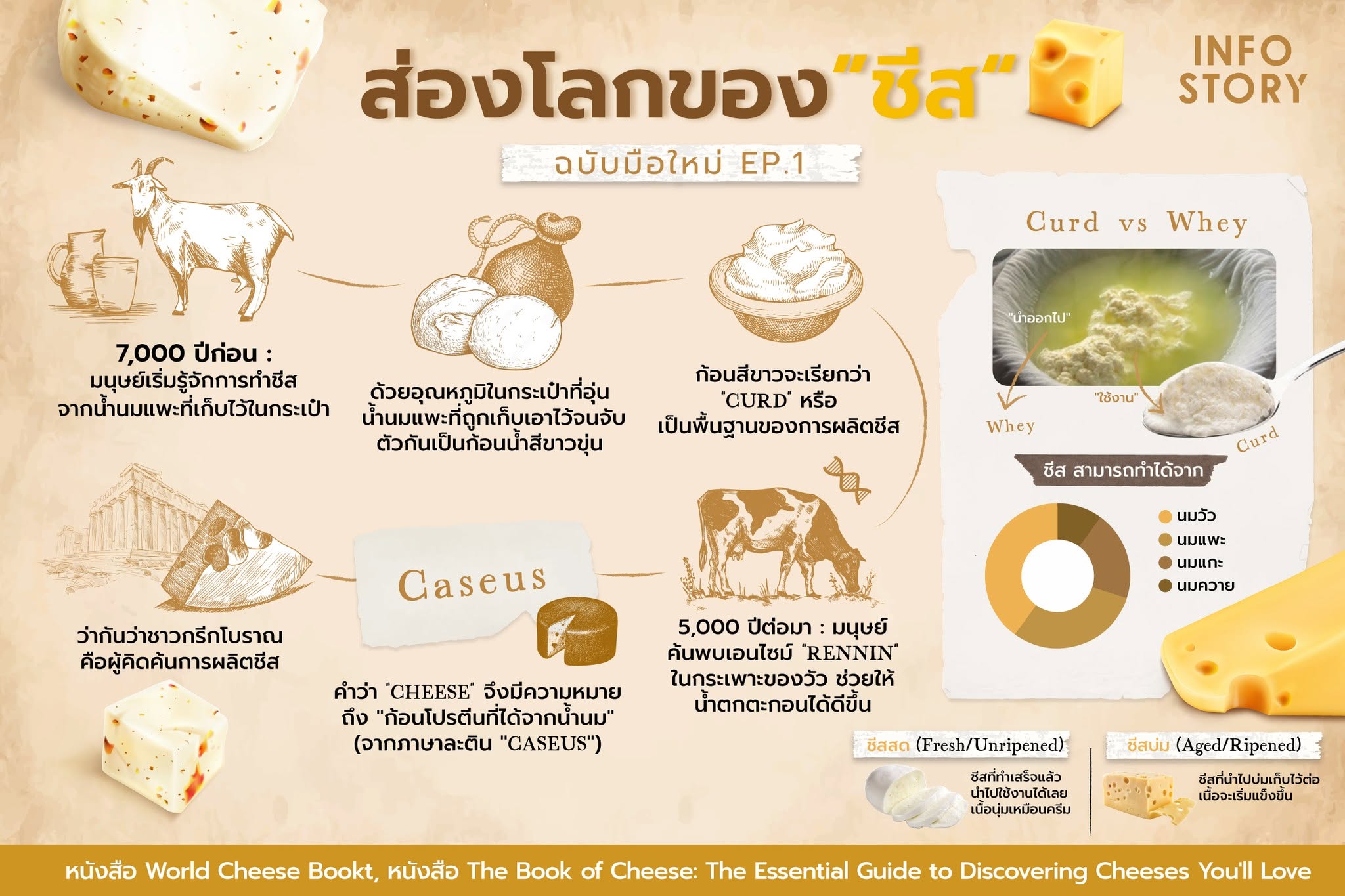 ส่องโลกของชีส ตอนที่ 1 (ฉบับมือใหม่)