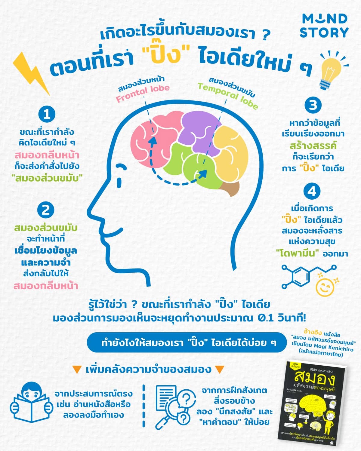 เวลาที่เราปิ๊งไอเดียใหม่ ๆ มันเกิดอะไรขึ้นกับสมองของเรานะ ? 💡🤩🧠
