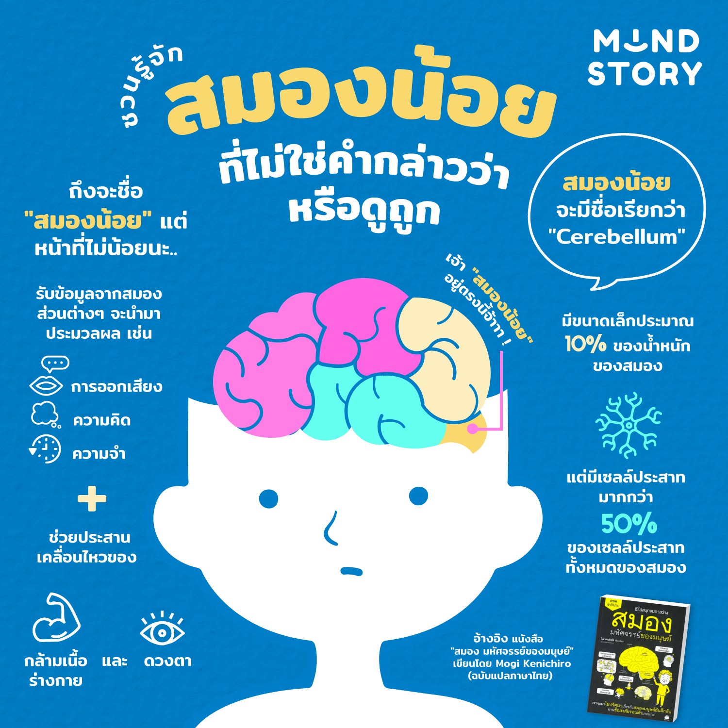 ชวนรู้จัก "สมองน้อย" ที่ไม่ใช่คำกล่าวว่า หรือ ดูถูก แต่อย่างใด…